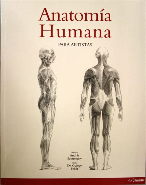 Anatomía Humana Para Artistas Dibujos De András Szunyoghy Texto De