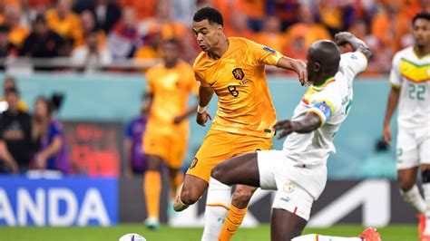 Netherlands Leave It Late As Cody Gakpo And Davy Klaassen Down Senegal
