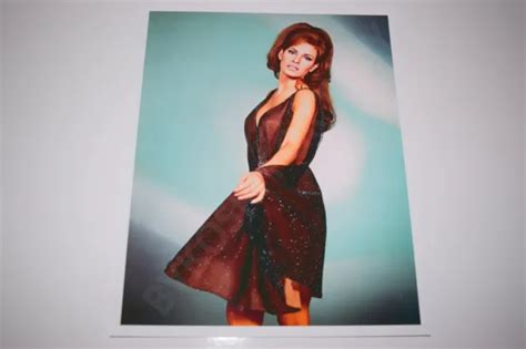 Raquel Welch Pinup 8x10 Glossy Photo Busty Sexy Gorgeous Cleavage 601