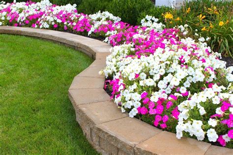 Consistent Flower Beds Maintenance Keep Your Beds Looking Clean