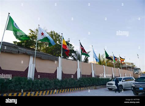 Flags Of Igad Member States Fly At The Peace Hotel Compound In