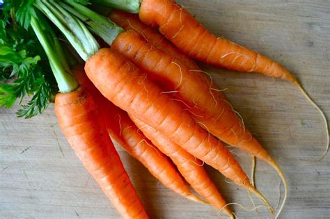 Fresh Carrots Manufacturer In Maharashtra India By Bulkup Exports India