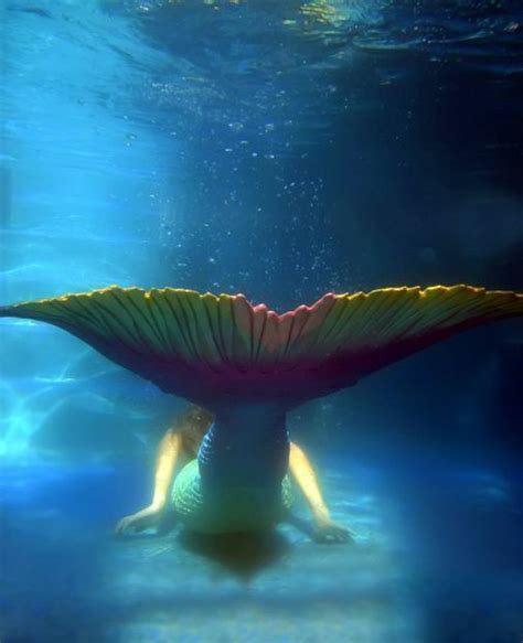 Divine Mermaid Professional Mermaid Performer And Underwater Artist