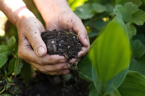 O'que é Necessário Fazer Para Utilizar Fertilizantes De Forma Sustentável