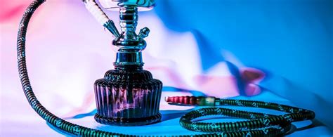 Call us, write us via whatsapp or mail. Ist Shisha-Rauchen schädlich?