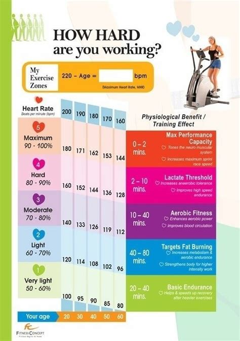 Heart Rate Zones Chart For Women Healthy Exercise Health Fitness Health