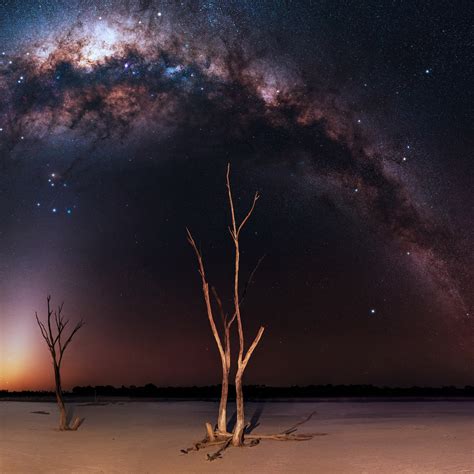 2248x2248 Milky Way Night And Bare Trees 2248x2248 Resolution Wallpaper