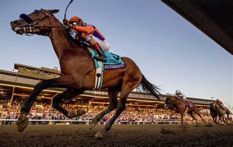 Authentic Voted 2020 Horse Of The Year Ntra