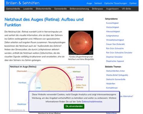 Netzhaut des Auges (Retina): Aufbau und Funktion | edutags