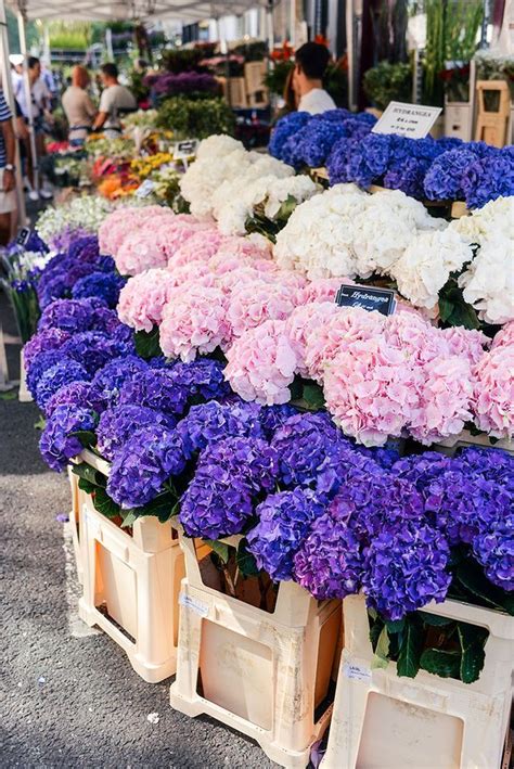 columbia road flower market (The Style Scribe) | Columbia road flower