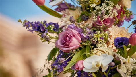 The purpose of a sympathy card is to show up for the person in your life who is grieving and to share your sincere condolences for the loss. Sympathy Flowers | Sympathy Gifts | Funeral Flowers