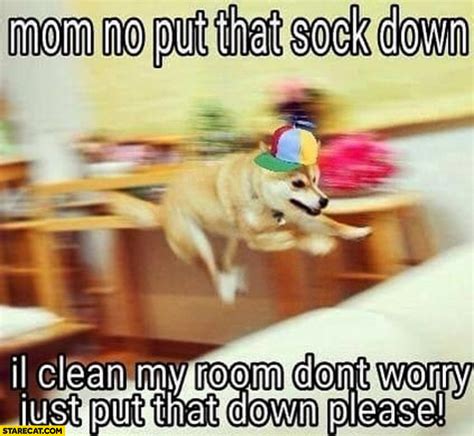 Doge Mom No Put That Sock Down Ill Clean My Room Dont Worry Just Put