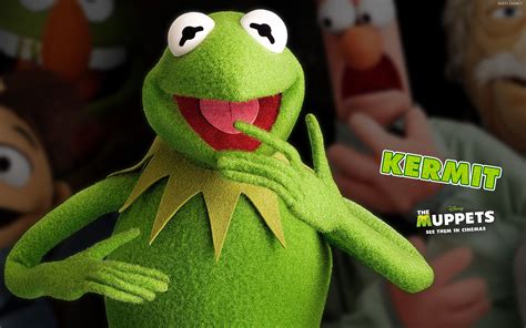 Kermit The Froggallery Fictional Characters Wiki Fandom Powered By