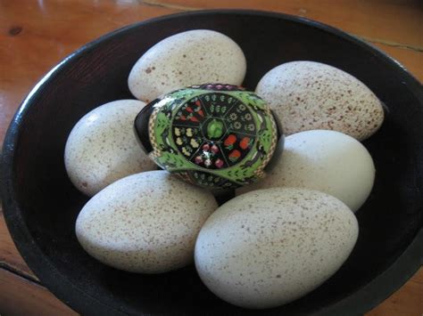 Eggs are a storehouse of vital nutrients, making them an integral part of a healthy diet. Pysanky By So Jeo Learn How To Prepare Turkey Eggs For ...