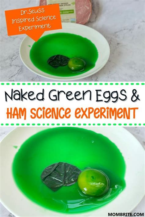 Naked Green Eggs And Ham Science Experiment Artofit