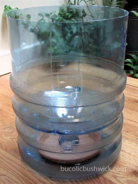 Diy Self Watering Container From A 5 Gallon Water Cooler Bottle Self
