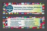 Berkeley College Online Tuition