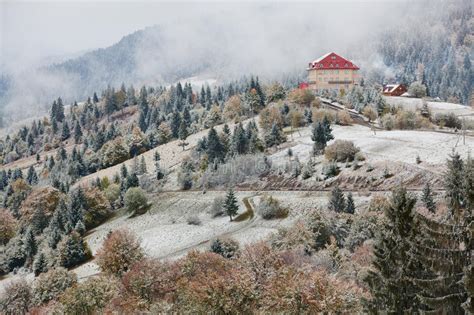 De Winter Is Laat Komend Een Beetje Maar Is In Orde Elk Ding Stock