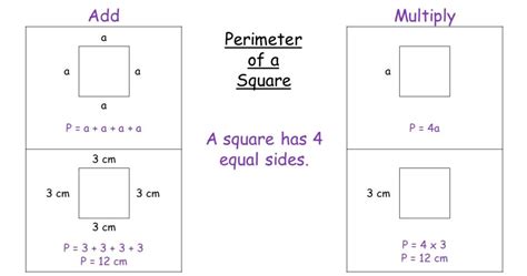 How To Find Perimeter In 3 Easy Ways Vibrant Teaching