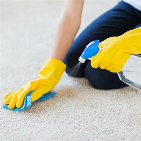 Zu beginn wird die betroffene stelle mit etwas lauwarmem wasser befeuchtet. Teppich reinigen mit Hausmitteln - hilfreiche Ideen & Tipps