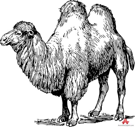 Also you can search for other artwork with our tools. 67 Free Camel Clipart - Cliparting.com