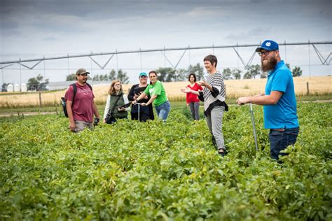 Lethbridge College, potato growers partner on irrigation study | BE READY