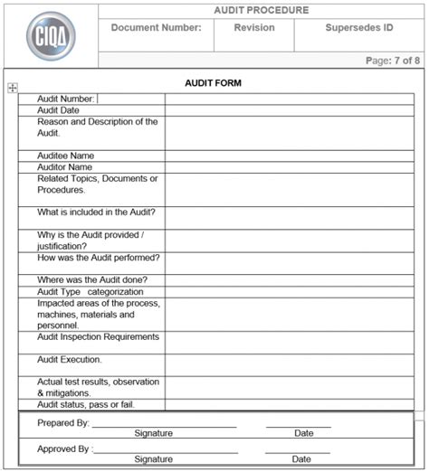 How To Fill An Audit Report Form In 20 Easy Steps