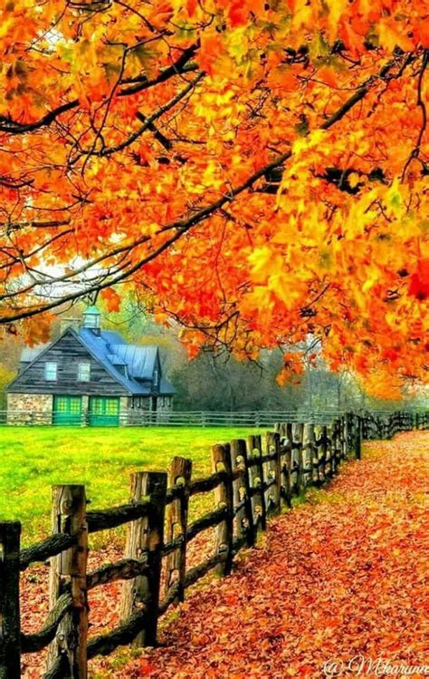 Pin By Andrea On Paisagens Autumn Scenery Autumn Scenes Fall Pictures