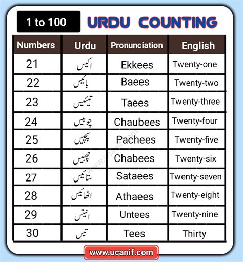 Urdu Counting 1 To 100 Urdu Number Urdu Ginti Pdf