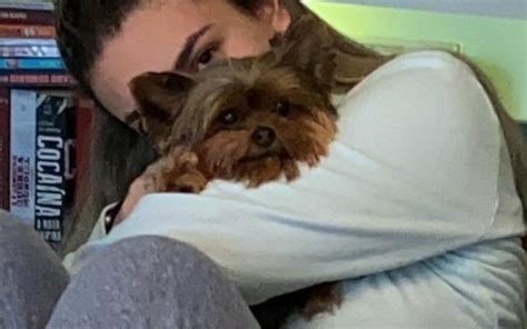 Júlia wolff moro faz campanha contra o pt. Sergio Moro posta foto da filha com o cachorro da família ...