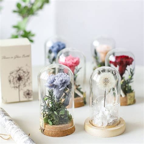 Preserved Flower In Glass Dome Diy Package Carnation Etsy Uk In 2022