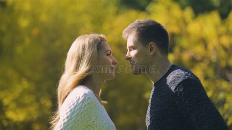 man and woman kissing as hiding behind autumn leaf romantic story memories stock footage