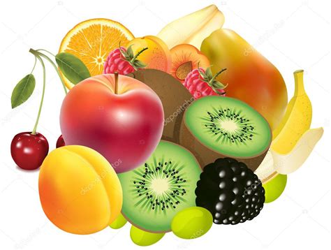 Variety Of Exotic Fruits Stock Vector Image By ©mtr980 9192625