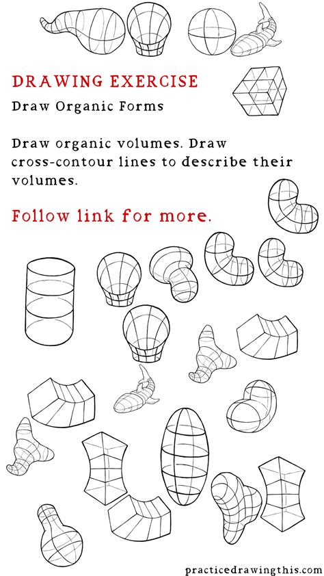 Draw Organic Forms Free Workbook Enjoy Drawing Daily Practice