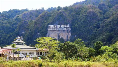 Taman Nasional Di Kalimantan Tengah Tts Homecare24