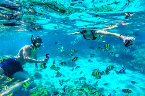 Snorkeling In Koh Phi Phi And 3 Khai Island — Diary Of My Journeys