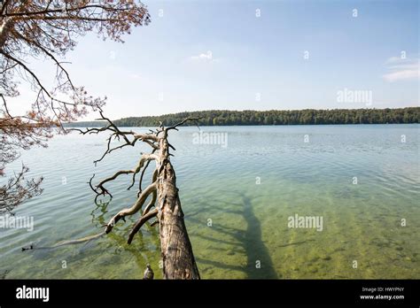 Germany Brandenburg Lake Stechlin Stock Photo Alamy