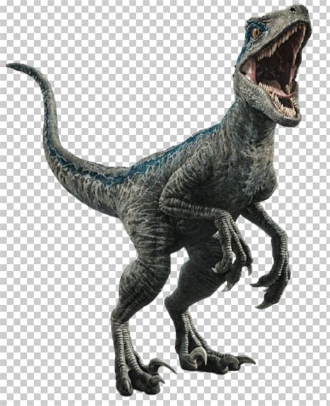 Velociraptor Owen Jurassic World Evolution Dinosaur Jurassic Park Png
