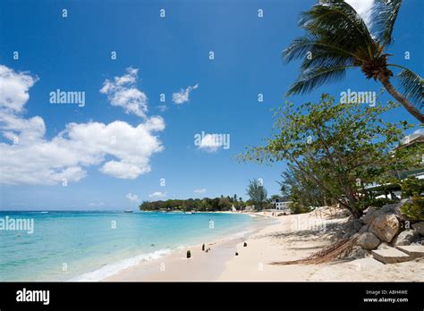 playa costa oeste en holetown barbados antillas menores las antillas caribe fotografía de