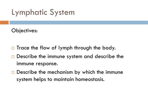 Ppt Lymphatic System Powerpoint Presentation Free Download Id2067086