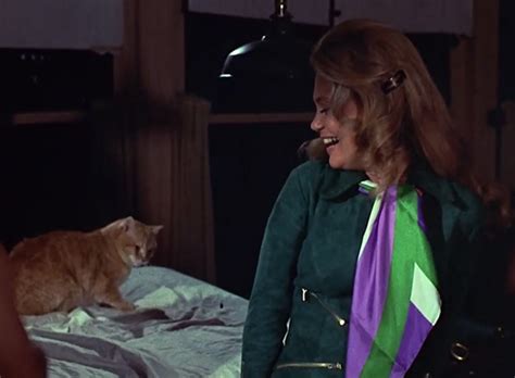 Shamus 1973 Cinema Cats