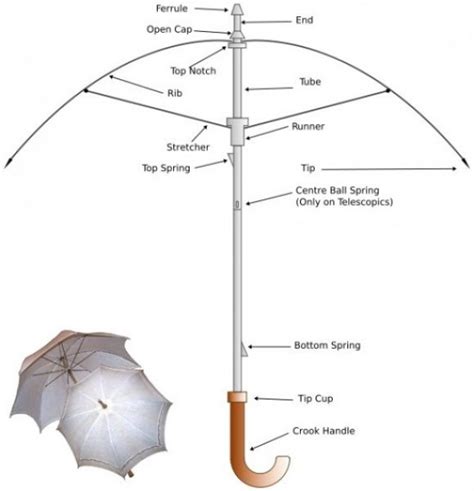 Anatomia Del Paraguas Conexionmoda
