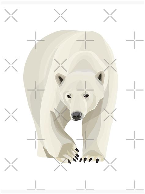 Polar Bear Poster For Sale By Mmahoney20 Redbubble