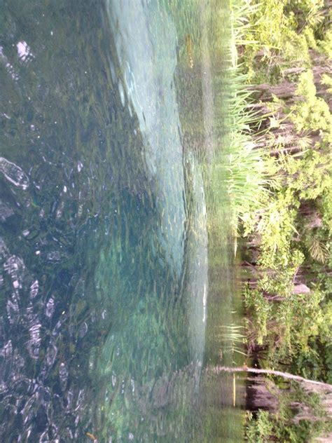 Things to do near ichetucknee tube center. Ichetucknee Family Canoe and Cabins - Home | Facebook