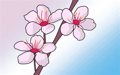 Https://techalive.net/draw/how To Draw A Blossoming Flower