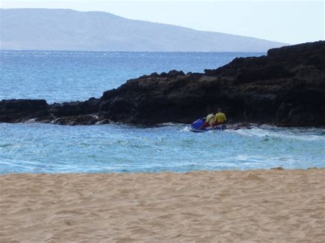Maui Jungalow: Shark Attack at Makena