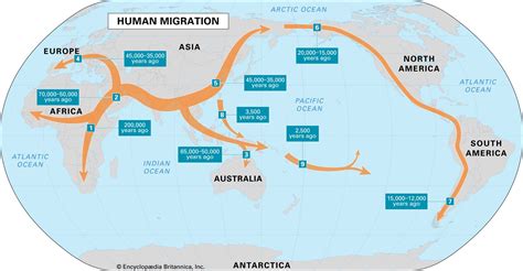 Homo Sapiens Modern Populations Migration Adaptation Britannica