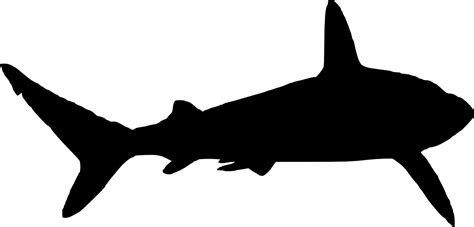 Download 6 Shark Silhouette (PNG Transparent) | OnlyGFX.com