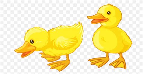 Baby Duck Clipart Clip Art Library Images
