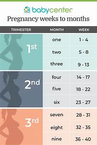 Pregnancy Chart Pregnancy Months Trimesters Of Pregnancy Pregnancy